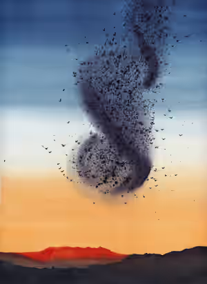Nuée 6.jpg