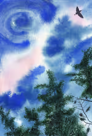 Looking up 3.jpg