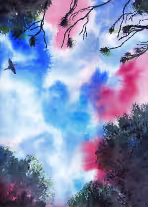 Ciel 3.jpg