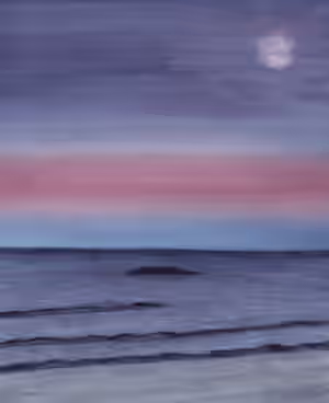 Mer 5.jpg