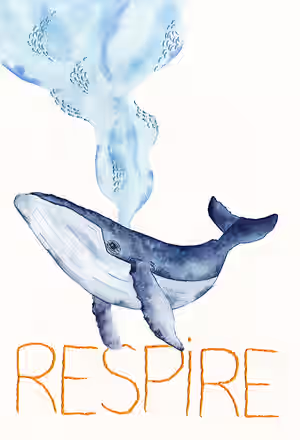 baleine 2 bd.jpg
