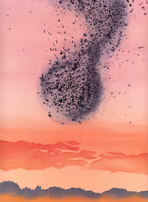 Nuée 7.jpg